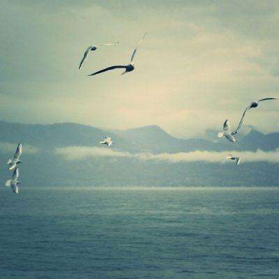 巴基斯坦寻求在美国和伊朗之间展开斡旋 推动在伊斯兰堡举行会谈